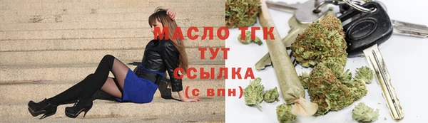 хмурый Инта
