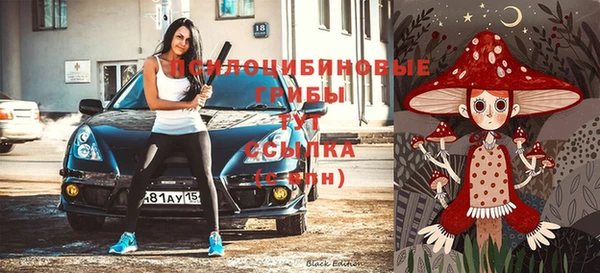Альфа ПВП Инсар