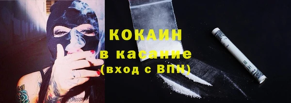 Альфа ПВП Инсар