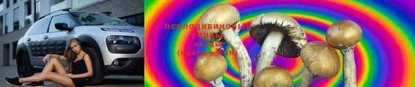 Альфа ПВП Инсар