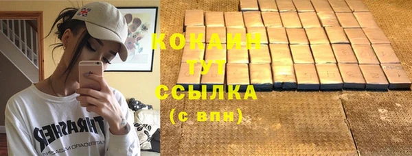 хмурый Инта